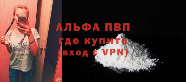 ешки Тайга