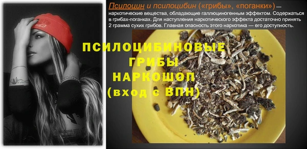 ECSTASY Тобольск