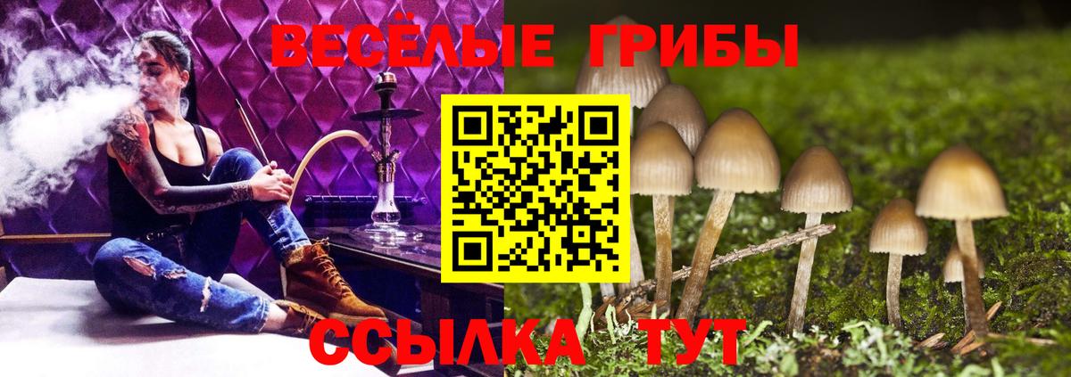 Усолье-Сибирское  Галлюциногенные грибы Magic Shrooms  сколько стоит  Вход с VPN 