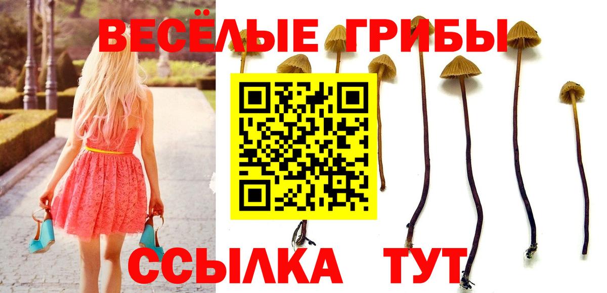 Галлюциногенные грибы Psilocybine cubensis  Усолье-Сибирское 